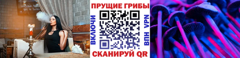 цены наркотик  Кумертау  Галлюциногенные грибы Psilocybine cubensis 