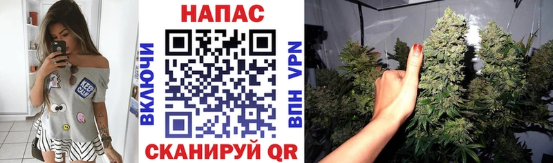 Конопля ГИДРОПОН  Кумертау 
